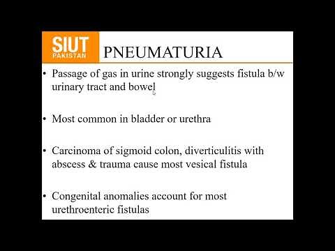 Urology Histroy and Clinal Examination