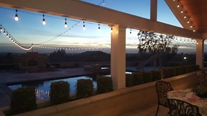 Novelty Lights 37.5 Feet Heavy Duty Light String with 25 in-Line E26 Sockets, Black Wire PVC Commercial Grade Stringer, 18" Spacing, End-to-End Connectable, No Bulbs