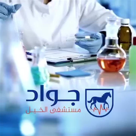 #semen_collection_and_evaluation_in_stallions #jawad_equine_hospital #equinereproduction #andrology #stallionmanagement #veterinaryscience #animalbreeding #andrologist #theriogenology… | Abdelrahman Elriashy l عبدالرحمن الرياشي