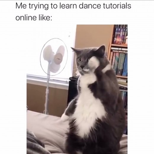 Naina Batra l Choreographer | Guilty! 😂 Learning online can be tough but don’t worry I’ll walk you through the moves step by step 👍 Sign up for online lessons at... | Instagram