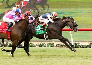 Midnight Storm Game in Eddie Read Win