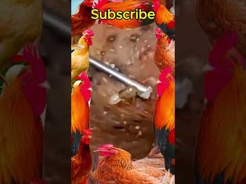 Blackheads Removal #208 | Acne Treatment and Very Satisfying Satisfying Pimple pop #blackheads