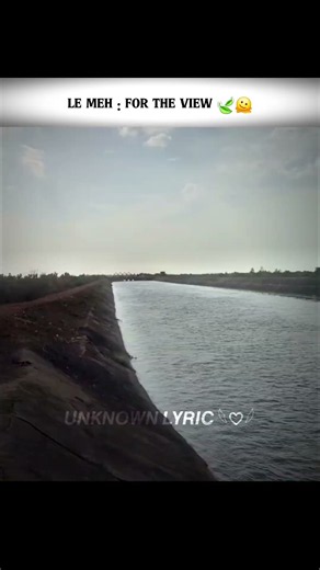 pov: choose always window seat 🍃🫠 || whatsapp status || ~unknown lyric #trending #newshorts #viral