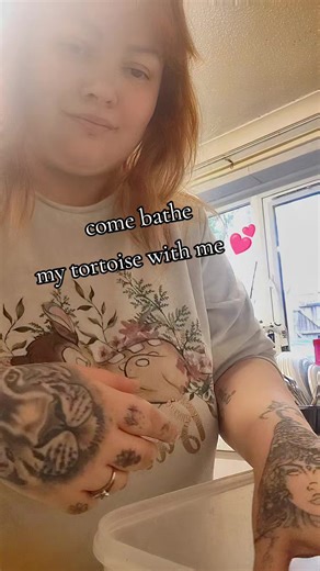 Tortoise Bathing and Care Tips for Enthusiasts