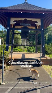 ✨Announcing our new reel series, “Unique Hongwanji”! ✨ Come join us as we tour Jodo Shinshu Buddhist temples around the state of Hawaii, to discover their special qualities and unique histories. (The handle @honpahongwanjihawaii_official, which appears at the end of the reel, is for our Instagram 📸) #hawaii #hawaiilife #japanese #hongwanji #uniquehongwanji #buddhist #newyear #2026 | Honpa Hongwanji Hawaii