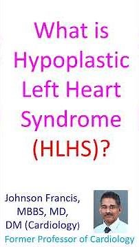 What is Hypoplastic Left Heart Syndrome (HLHS)?