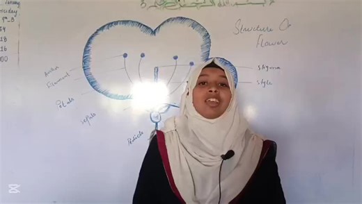 Structure of a Flower: A Biology Practical Guide