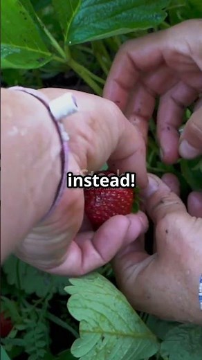 What Do Color Blind People Really See?