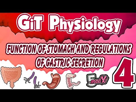Lecture 4 : function of stomach and regulations of gastric secretion