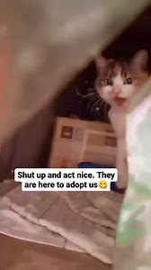 2.9M views · 10K reactions | Viral Memes PH on Reels | Facebook