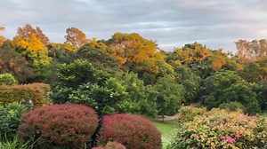 Morning paradise at Gaia 🌿 | Gaia Retreat & Spa