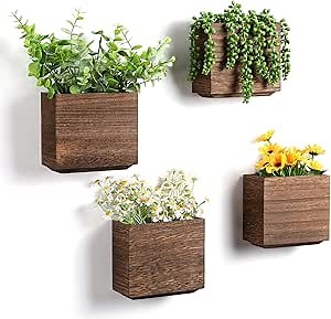 Qinyoung 4 Pack Wood Wall Planters Natural Hanging Plant Pots 5.5 x 5 Inches Natural Farmhouse Wall Hanging Decor Vase for Indoor Dried Flowers and Faux Greenery