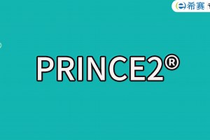 PRINCE2成功案例分析