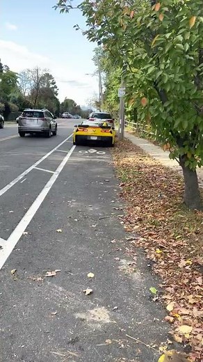 CAMMED C7 Z06 IDLE AND PULL