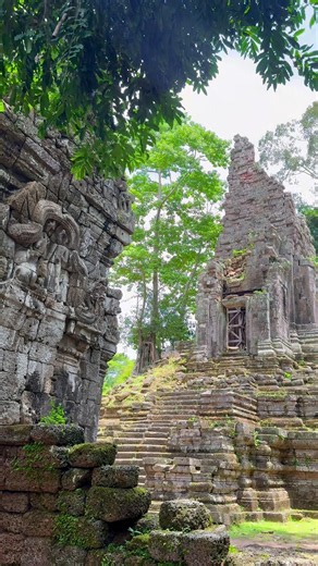 Beautiful Ancient Temple in Siem Reap, Cambodia #shorts #SiemReap #Cambodia #Temple #AncientTemple