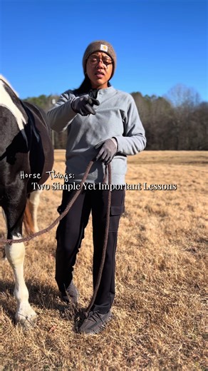 Horse Training: Rope Halters and Essential Manners