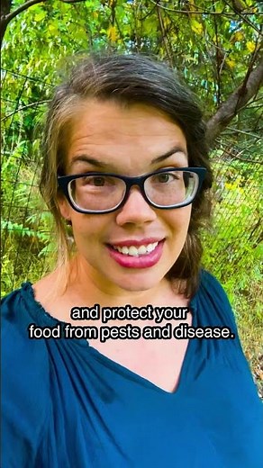 Complete Food Forest Layer Guide #permaculture #foodforest #sustainableagriculture #homesteading