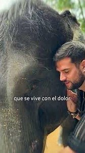 "No tengas miedo de pedir ayuda" -Clovis Nienow