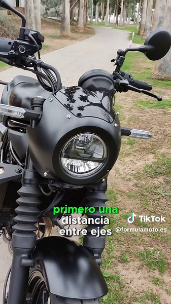 Kawasaki Eliminator 500 Features and Customization Options