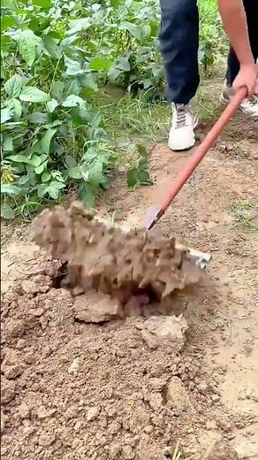 Land Preparation Using a Rake Tool