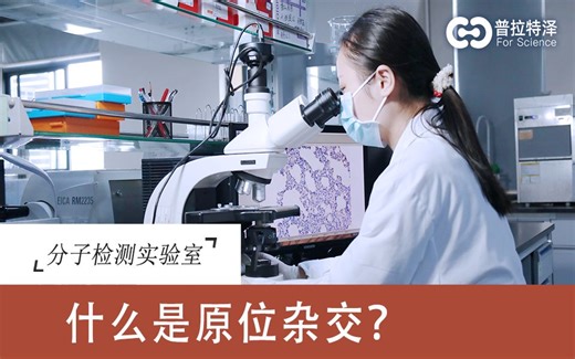 什么是原位杂交/ish/fish？带你来了解~