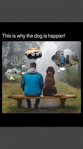 9.4K views · 252 reactions | Proverbs 12:25 Anxiety in a man's heart weighs him down, but a good word makes him glad | Shields of Strength | Facebook