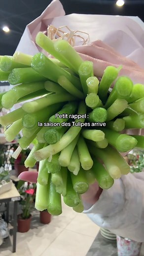 La Saison des Tulipes avec Dadudido