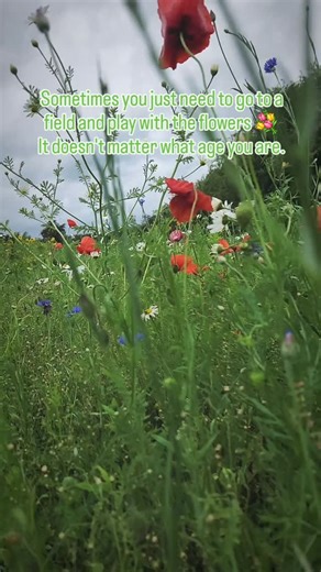 13 reactions · 5 comments | That's what I learned yesterday at The Sunflower field in Portglenone. Just go and have fun amongst the flowers dear.  #theultimateroadtripresource #mygiantadventure #roadtripireland #discoverireland | Ireland's Ultimate Road Trip App | Facebook