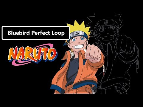 Bluebird 1 Hour "Perfect" Loop