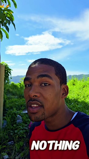 Understanding True Friends: The Green Family Story