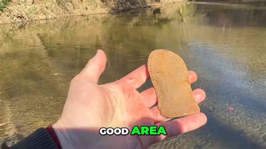 Creek Treasure Hunt: Find Old Coca-Cola Bottle & More!