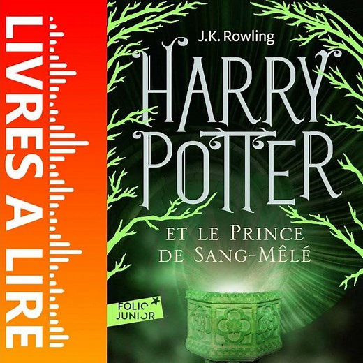 Harry Potter et le Prince de Sang-Mêlé (6) de J.K. Rowling - Livre - Résumé et analyse
