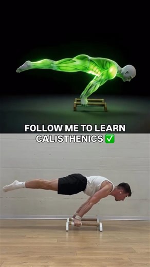 The Secret to Perfect Planche Form! 🔥 #calisthenics #shorts