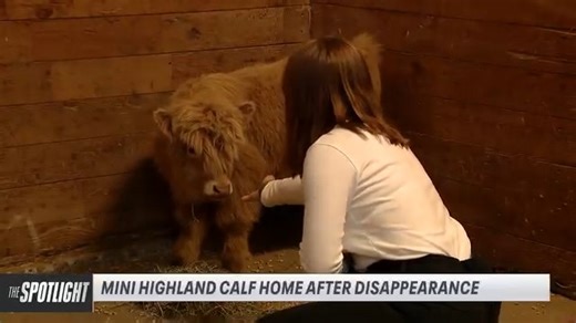 The drama around the disappearance of Daisy May. | David Rose FOX 13