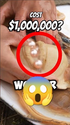 How Pearls Are Made?🤔