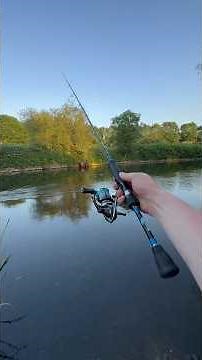 Travel fishing rod setup for trout fishing #fishing #fishingvideos #troutfishing #fishingsetup