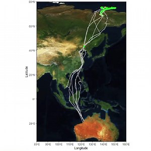 3K views · 55 reactions |  A map created using #moveVis R package...
