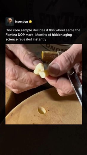 Inside the Secret Cheese Inspection 🧀 #shorts