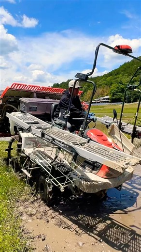 Kubota NW60S GS 田植え機 田植え作業#farming #現代農業 #automobile #kubota