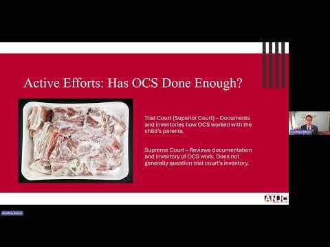 ANJC - 2025 Alaska Supreme Court ICWA Appellate Decisions