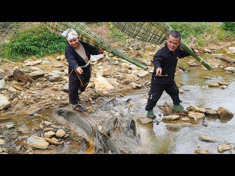 Dwarf Family Sets Traps and Catches Fish in the Forest Stream | Primitive Life