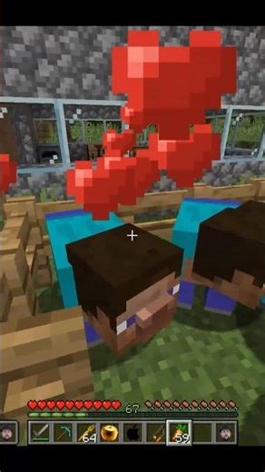 que tiene de raro mi minecraft? #minecraft #67 #cursedmods #mods