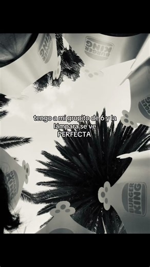 El Perfecto Grupito de 6 Amigos