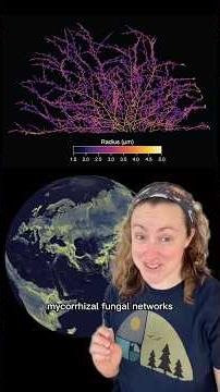 The best kind of social network #stem #science #news