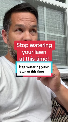 Here’s one reason to stop watering your Bermuda lawn at night #lawncare #lawntiktoks #lawncaretiktok #bermudalawn