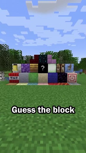 Guess the Minecraft Block in 60 Seconds Trivia