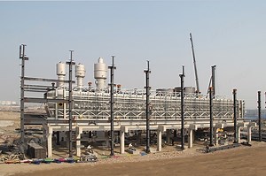 [Hot Item] Turnkey Solution Multi Oilseeds Extractor Soybean/Rapeseed/Cotton Seed/Palm Kernel Cake Solvent Extraction Machine