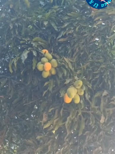 Exploring El Salvador: The Heart of Central America