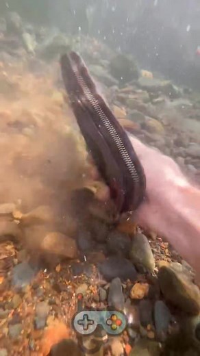 Look what I found under the groundwater #freediving #Logic_Academy | Logic Academy