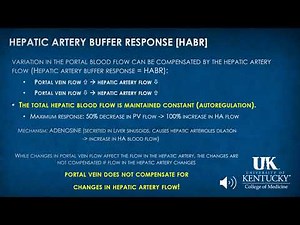 Hepatology Anesthesia Keyword Review - (Dr. Rebel)